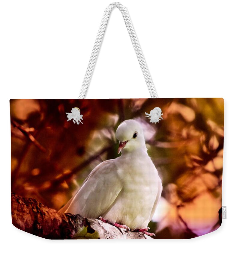 Dove Weekender Tote Bag featuring the photograph Peace on Earth by Ella Kaye Dickey