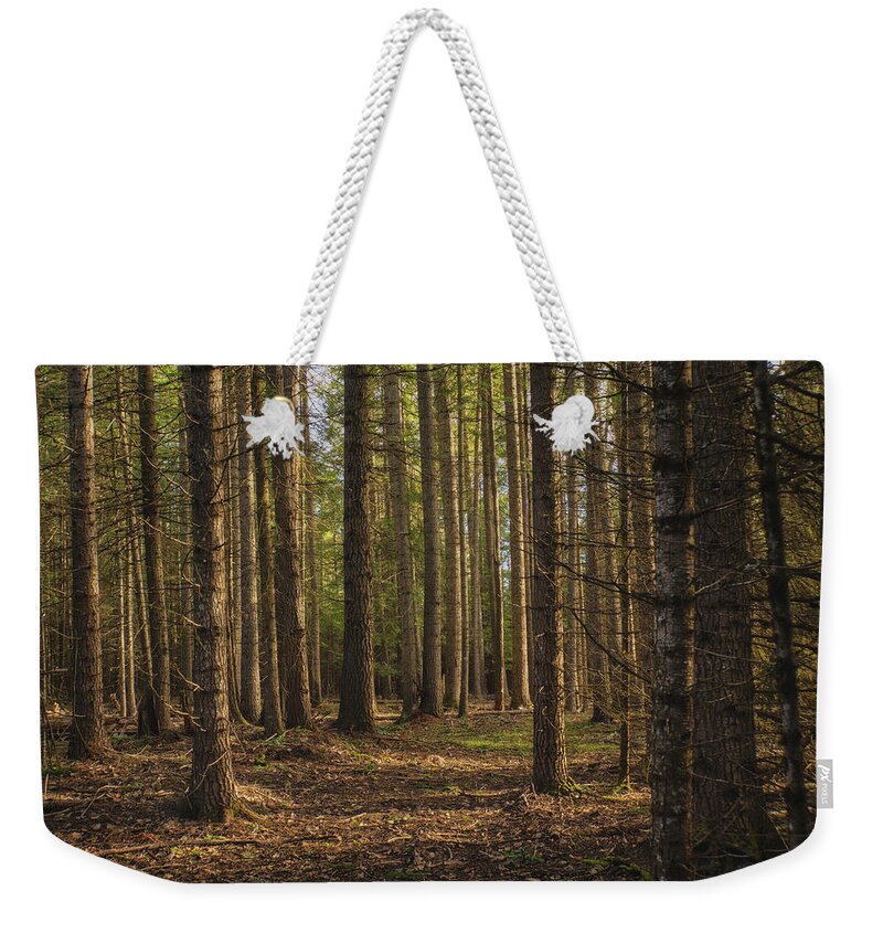 Forest Weekender Tote Bag featuring the photograph Peaceful Forest by Dan Eskelson