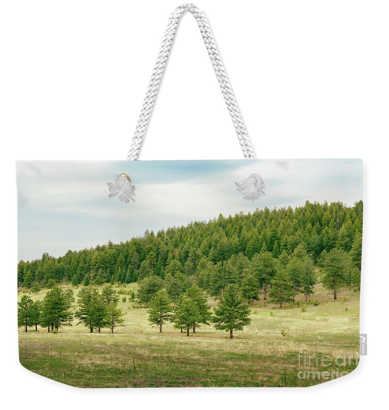 Green Weekender Tote Bag featuring the photograph Peaceful Greens by Ana V Ramirez