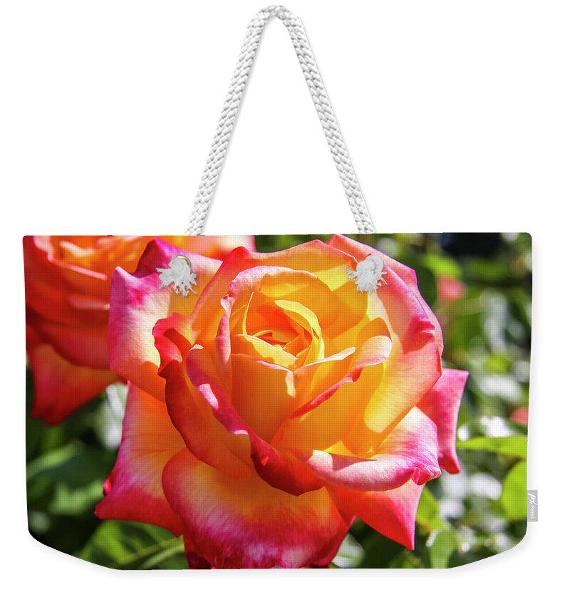 Apricot Weekender Tote Bag featuring the photograph Peaceful Rose by Dawn Richards