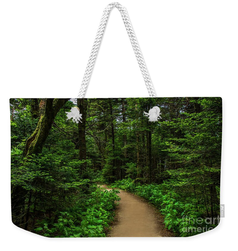 Trail Weekender Tote Bag featuring the photograph Peaceful trail on Roan Mountain by Shelia Hunt
