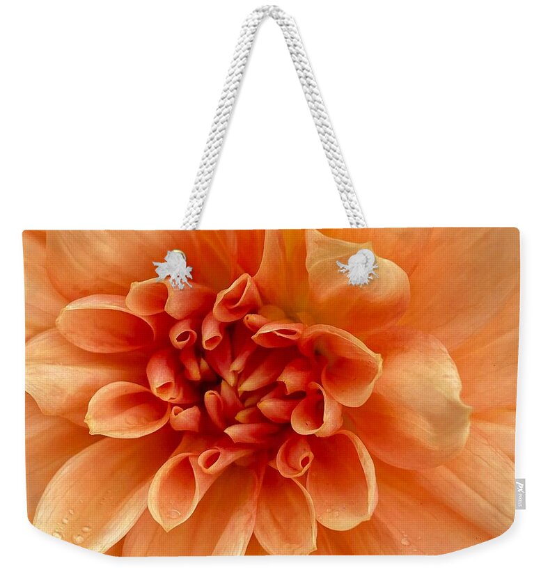 Peach Colored Dahlia Weekender Tote Bag featuring the photograph Peach Dahlia #2 by Jerry Abbott