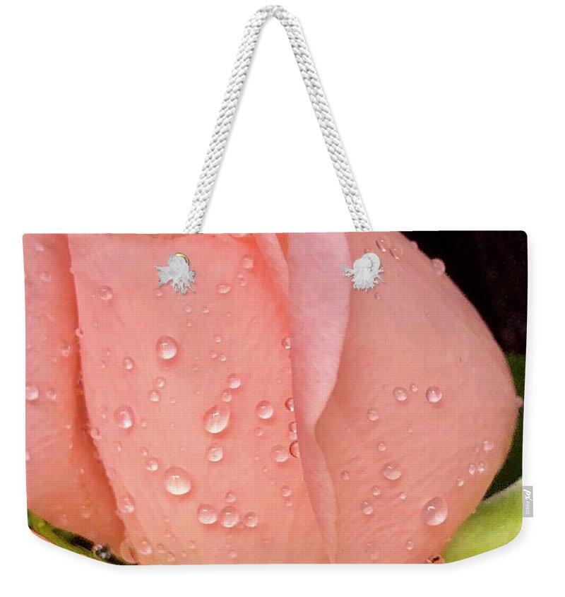 Rose Weekender Tote Bag featuring the photograph Peach Roses by Lisa Pearlman