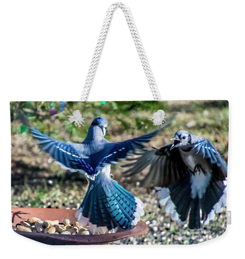 Bird Weekender Tote Bag featuring the photograph Peanut Dispute by Cathy Kovarik