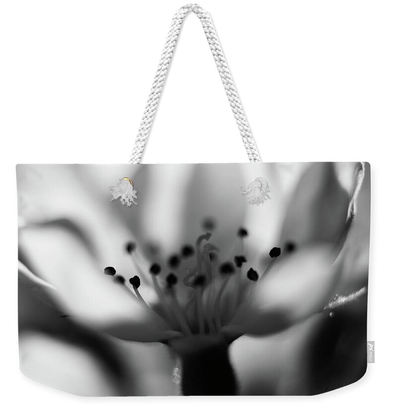 Pear Blossom Weekender Tote Bag featuring the photograph Pear Blossom by Neil R Finlay
