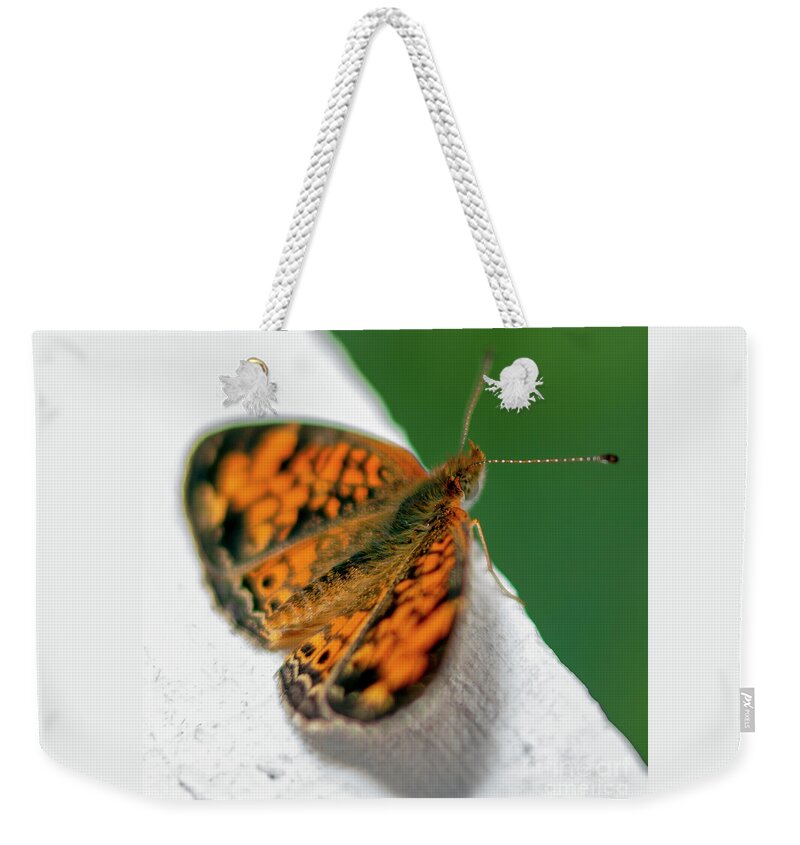 Pearl Weekender Tote Bag featuring the photograph Pearl Crescent Butterfly Phyciodes tharos by Rob Sellers