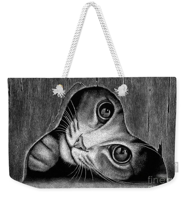 Cat Weekender Tote Bag featuring the drawing Peek A Boo by Sheryl Unwin