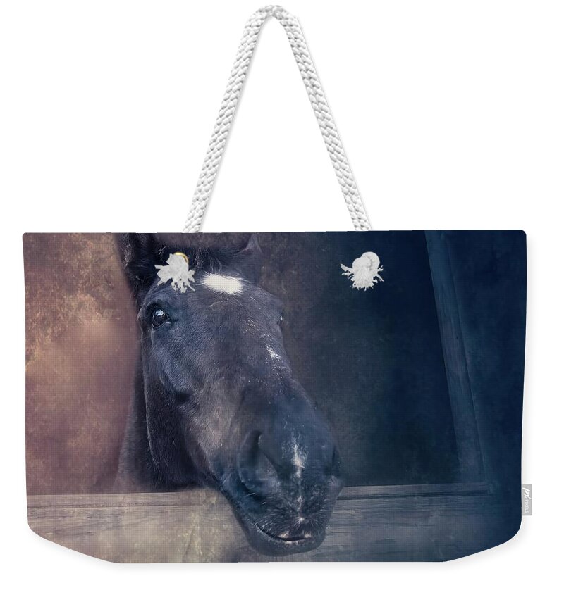 Horse Weekender Tote Bag featuring the photograph Peeking Out by Marjorie Whitley
