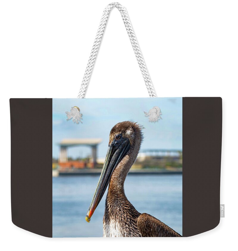 Pelican Weekender Tote Bag featuring the photograph Pelican in Downtown Pensacola, Florida by Beachtown Views