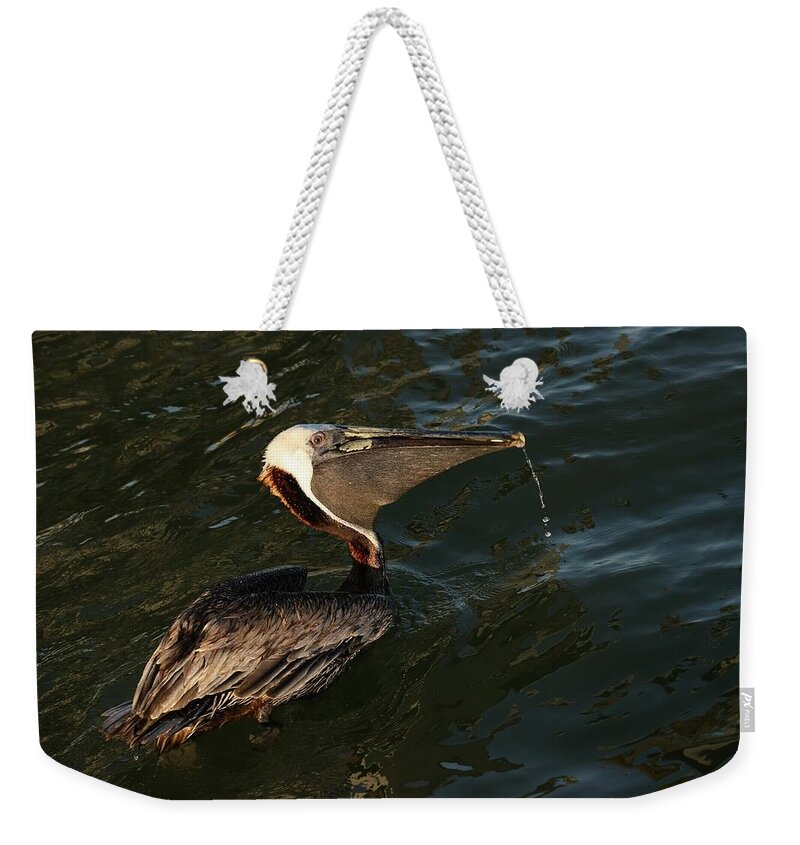 Pelicans Weekender Tote Bag featuring the photograph Artsy Pelican by Mingming Jiang