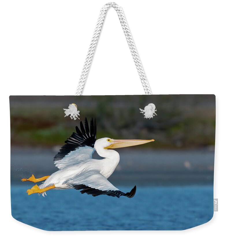 Pelican Weekender Tote Bag featuring the photograph Pelican lift off by Gary Langley