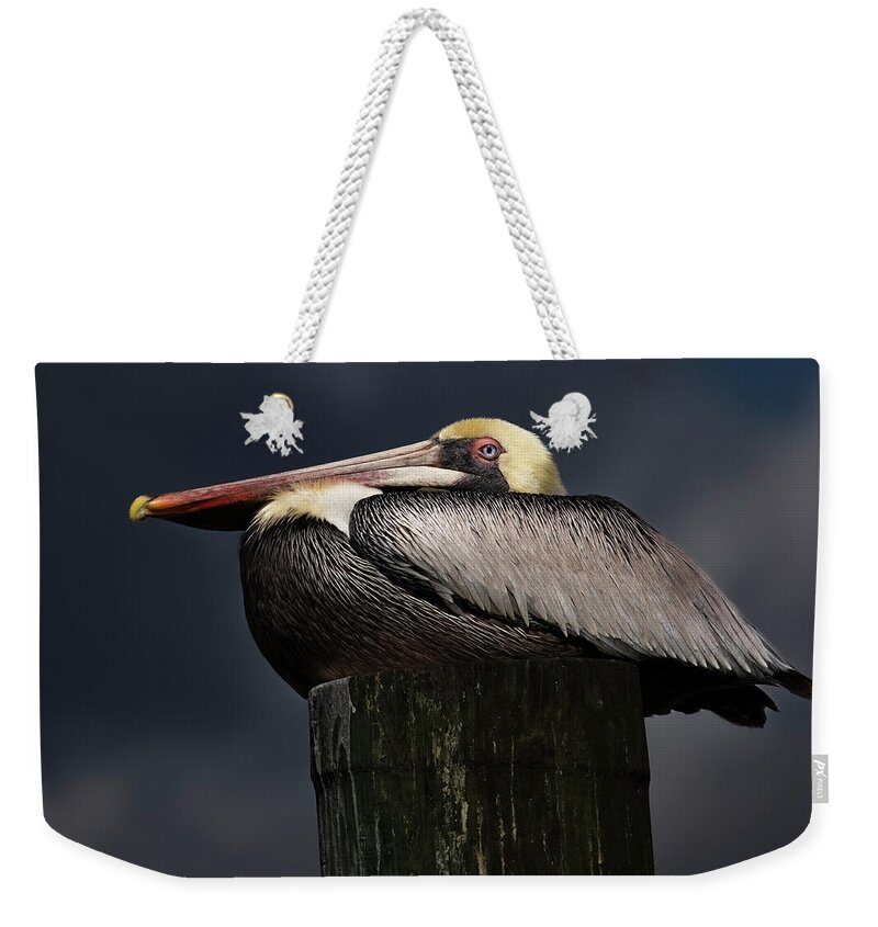 Birds Weekender Tote Bag featuring the photograph Pelican on a Pole by Larry Marshall