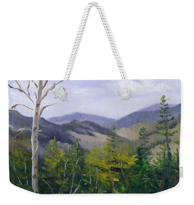 White Mountains Weekender Tote Bag featuring the painting Pemigewasset Overlook Early Spring by Sharon E Allen