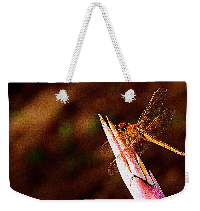 Dragonfly Weekender Tote Bag featuring the photograph Perching Dragon by Bill Barber