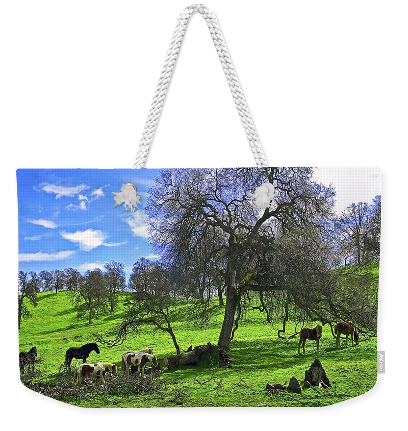 Horse Weekender Tote Bag featuring the photograph Perfect Afternoon by Don Schimmel