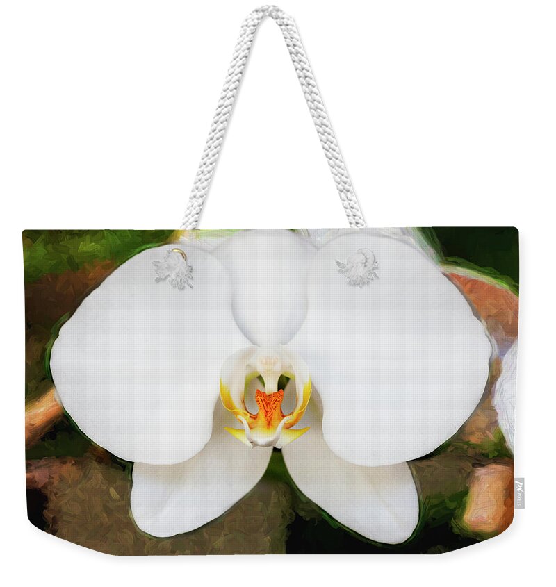 Orchids Weekender Tote Bag featuring the photograph Perfect Phalaenopsis Orchid 123 by Rich Franco