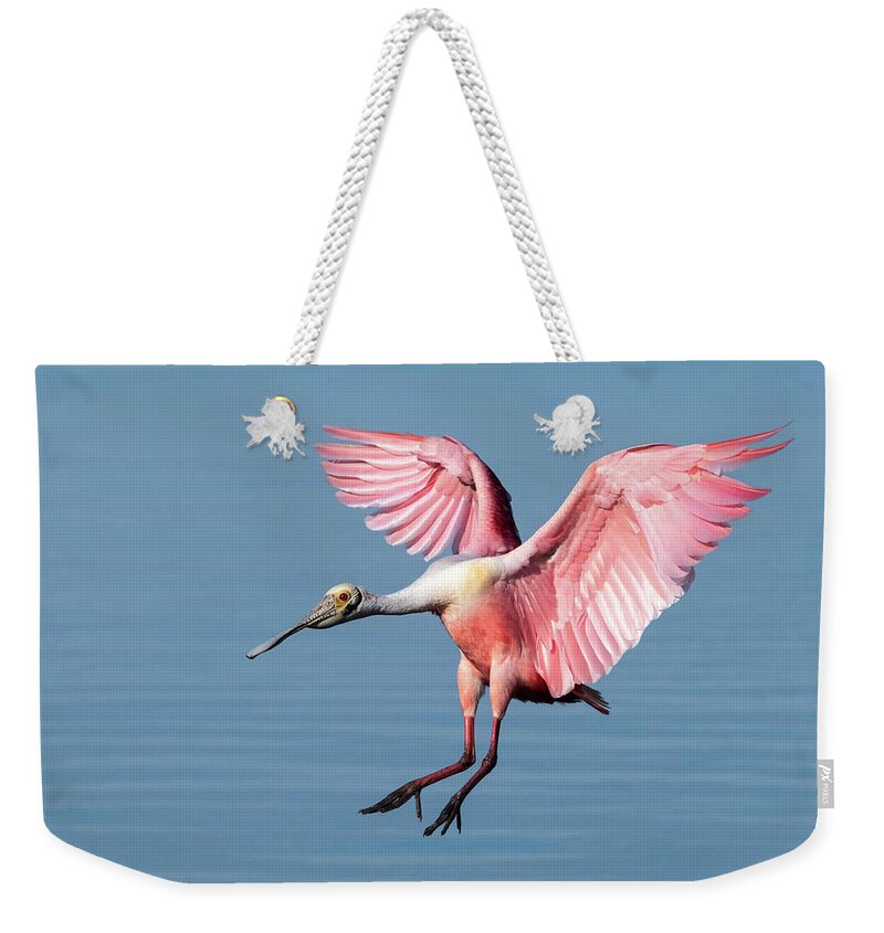 Pink Wings Weekender Tote Bag featuring the photograph Perfect Pink Landing by Jaki Miller