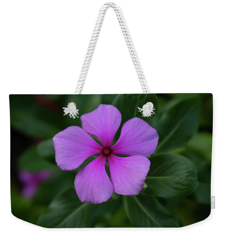 Periwinkle Weekender Tote Bag featuring the photograph Periwinkle by Ali Baucom