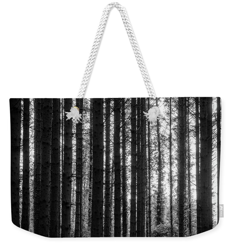 Wales Weekender Tote Bag featuring the photograph Perspective by Gavin Lewis