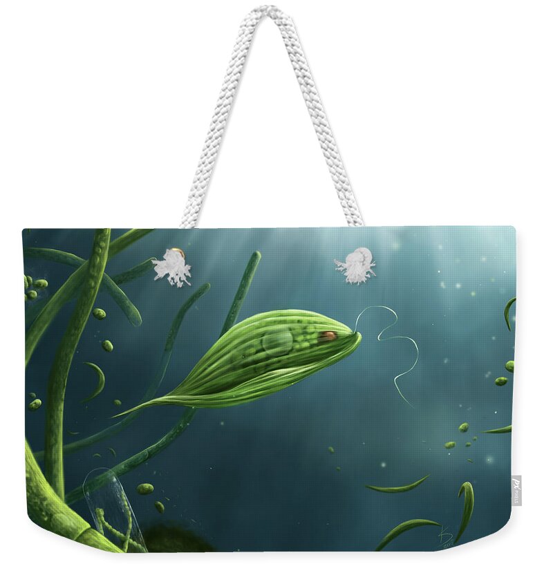 Protozoa Weekender Tote Bag featuring the digital art Phacus by Katelyn Solbakk