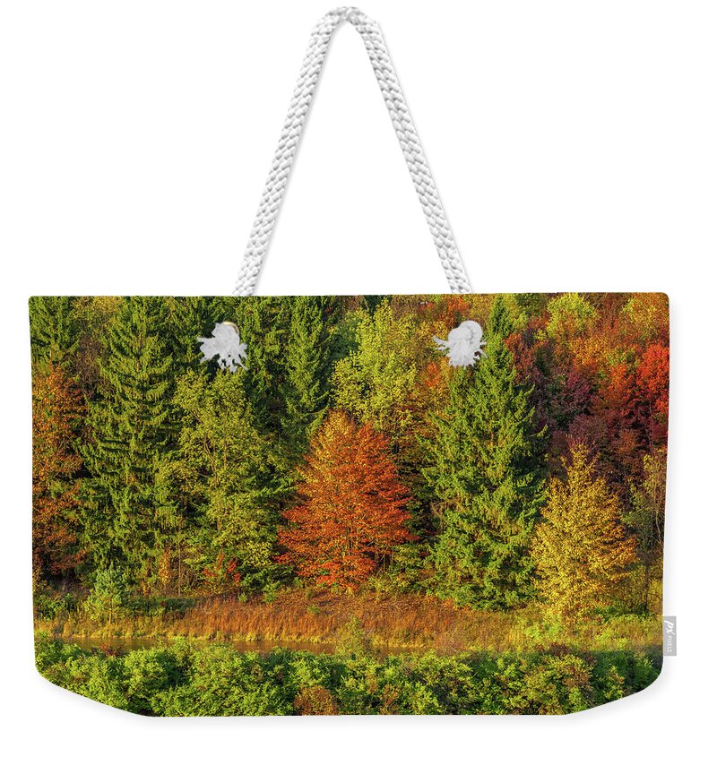 Autumn Weekender Tote Bag featuring the photograph Philip's Autumn Trees by Don Nieman
