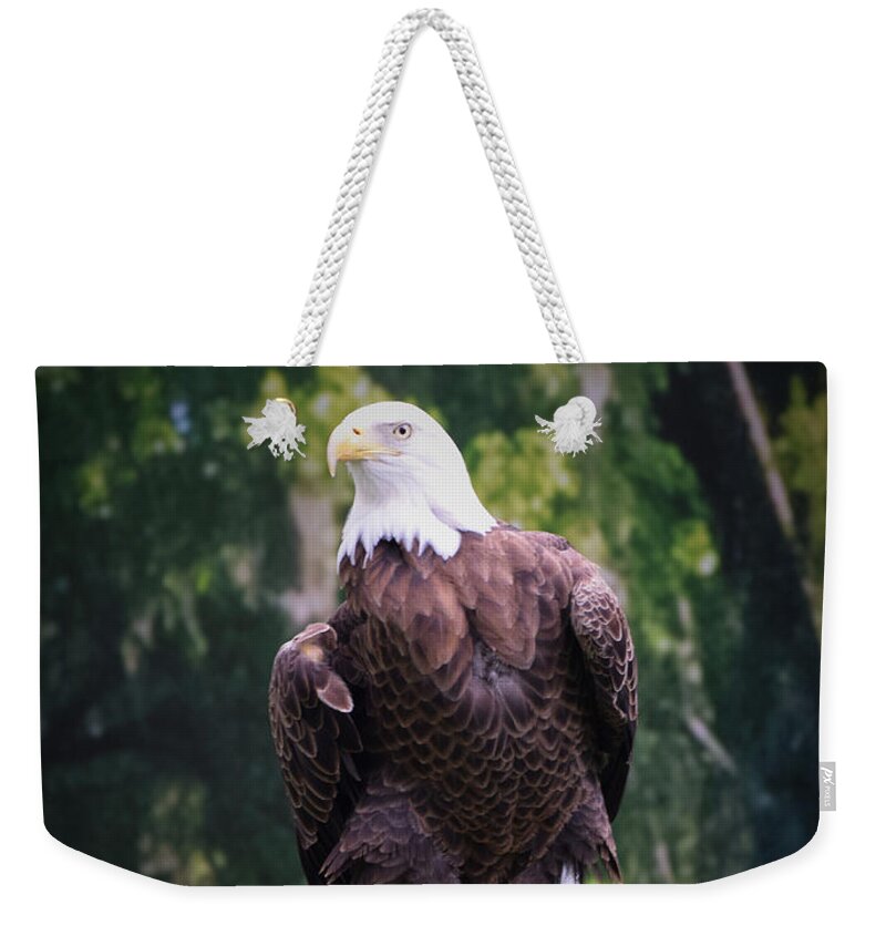 Eagle Weekender Tote Bag featuring the photograph Photo 75 American Eagle by Lucie Dumas