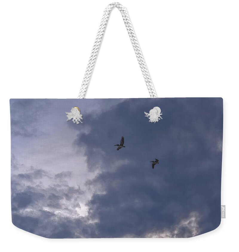 Pelican Weekender Tote Bag featuring the photograph Photo 81 Pelicans by Lucie Dumas