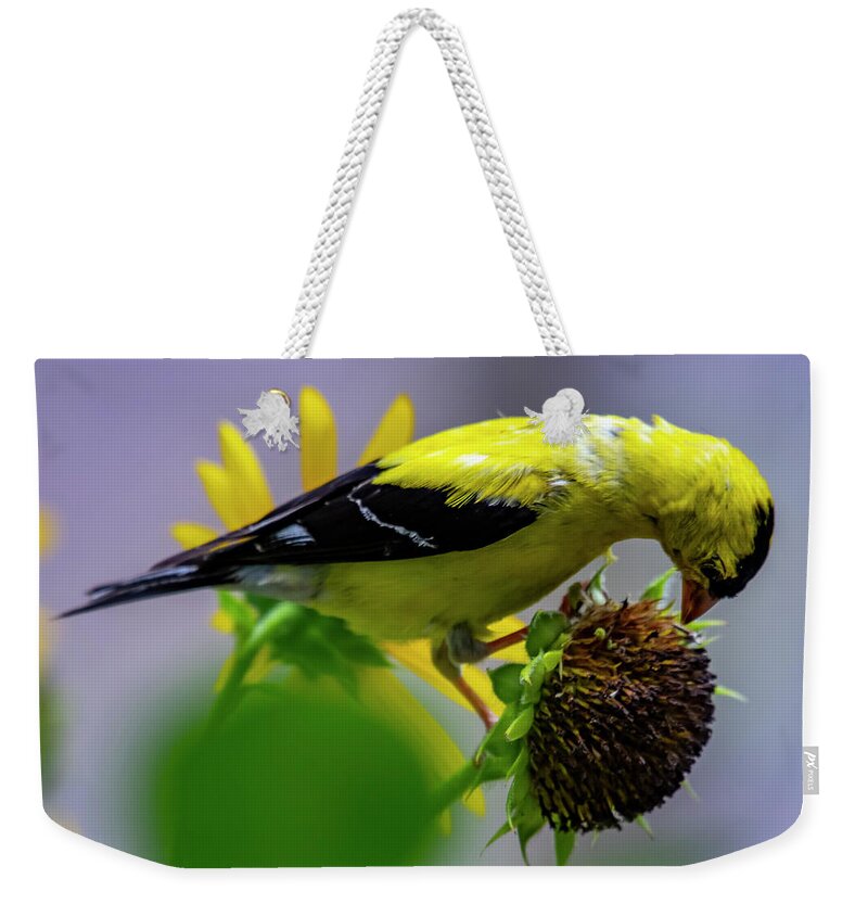 Bird Weekender Tote Bag featuring the photograph Picking Seeds by Cathy Kovarik