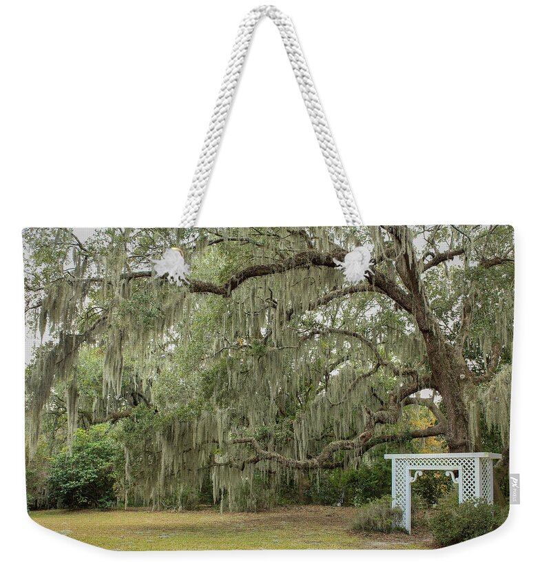 Charleston Weekender Tote Bag featuring the photograph Picture Perfect by Cindy Robinson