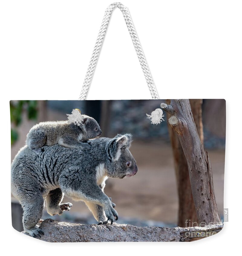 San Diego Zoo Weekender Tote Bag featuring the photograph Piggy Back Rides by David Levin