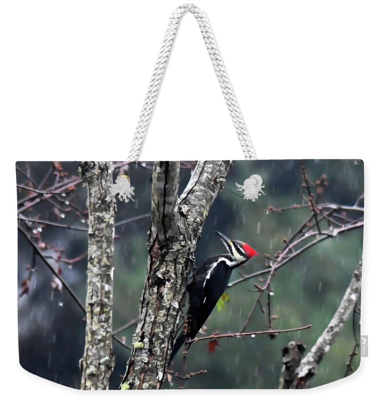 Pileated Woodpecker Weekender Tote Bag featuring the photograph Pileated Woodpecker in the Rain by Kerri Farley