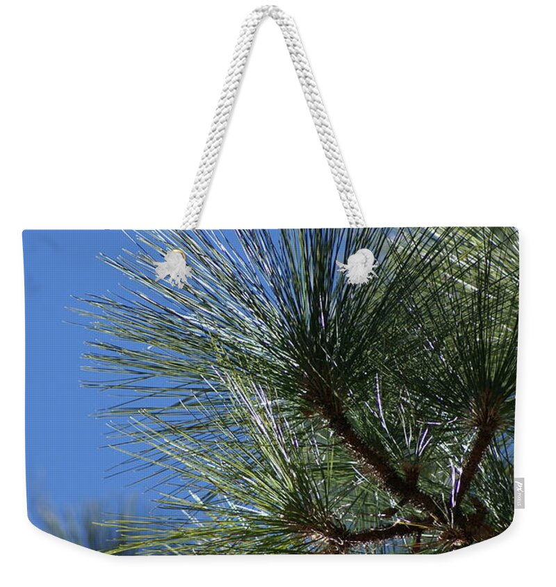 Weekender Tote Bag featuring the photograph Pine Left by Heather E Harman