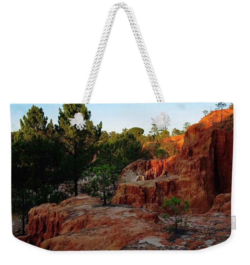 Trees Weekender Tote Bag featuring the photograph Pine Trees on Red Cliffs Valley by Angelo DeVal