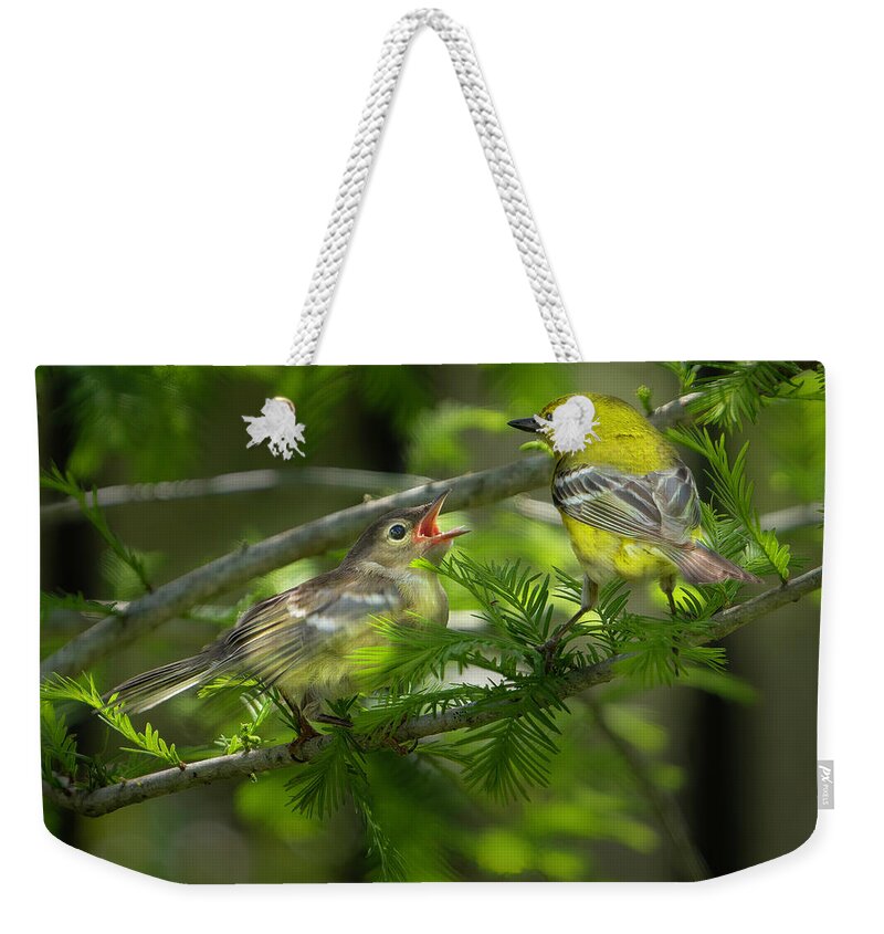 Backyard Weekender Tote Bag featuring the photograph Pine Warbler with Chick by Larry Marshall