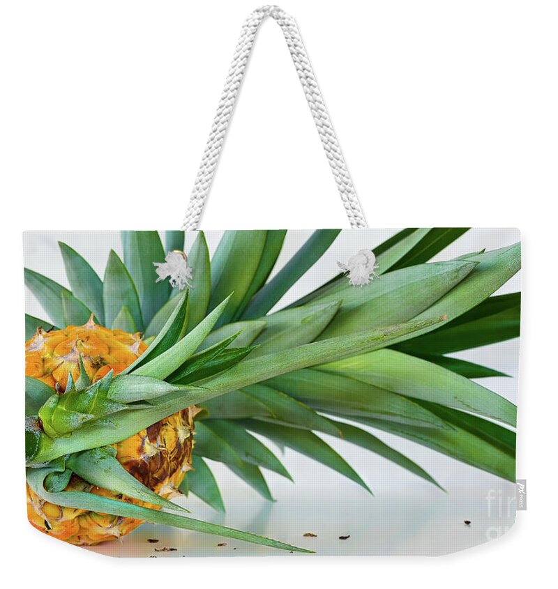 Pineapple Panorama Weekender Tote Bag featuring the photograph Pineapple Panorama by Olga Hamilton