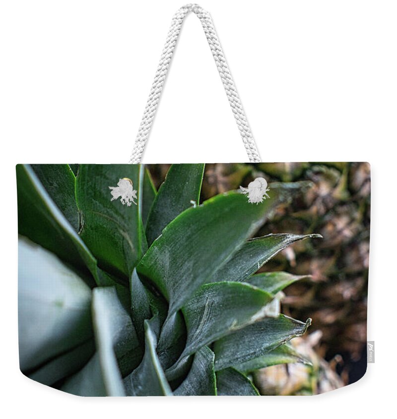 Pineapple Weekender Tote Bag featuring the photograph Pineapple Place by Portia Olaughlin