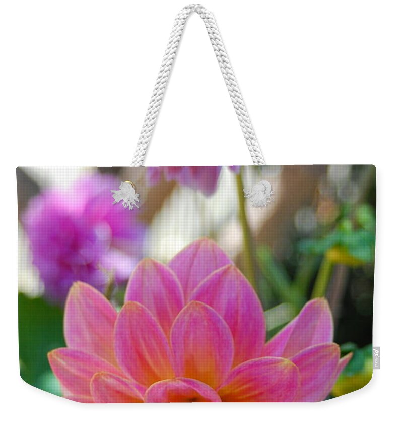 Dahlia Weekender Tote Bag featuring the photograph Pink and Yellow Dahlias 1 by Amy Fose