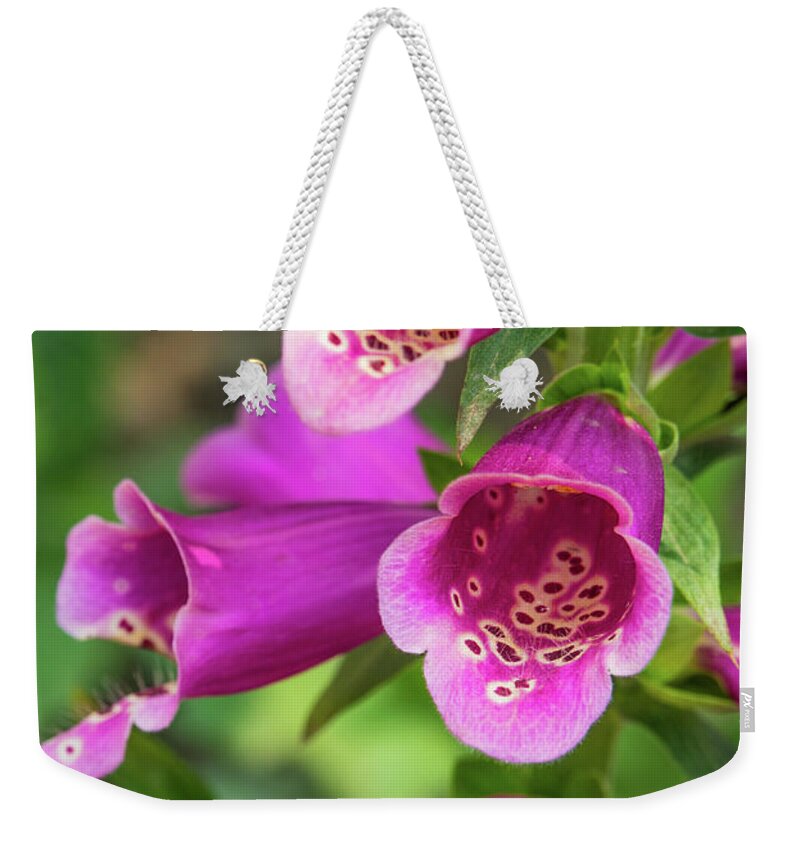 Pink Weekender Tote Bag featuring the photograph Pink Bells by Leslie Struxness