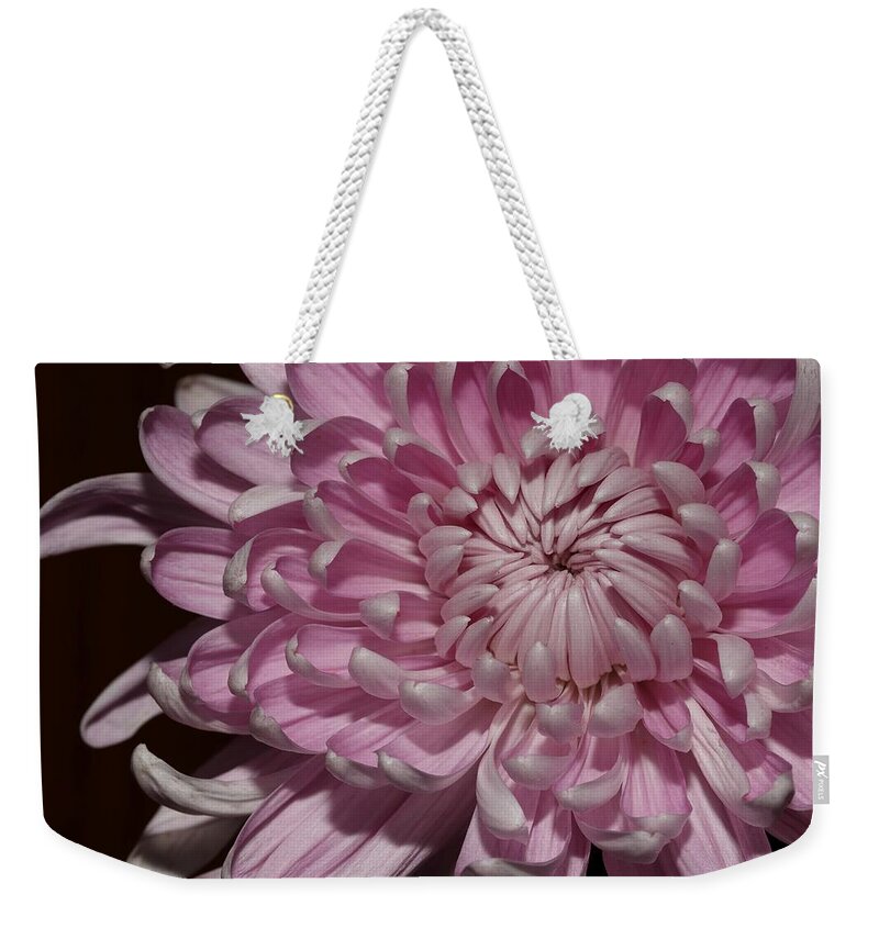 Chrysanthemum Weekender Tote Bag featuring the photograph Pink Chrysanthemum 2 by Mingming Jiang