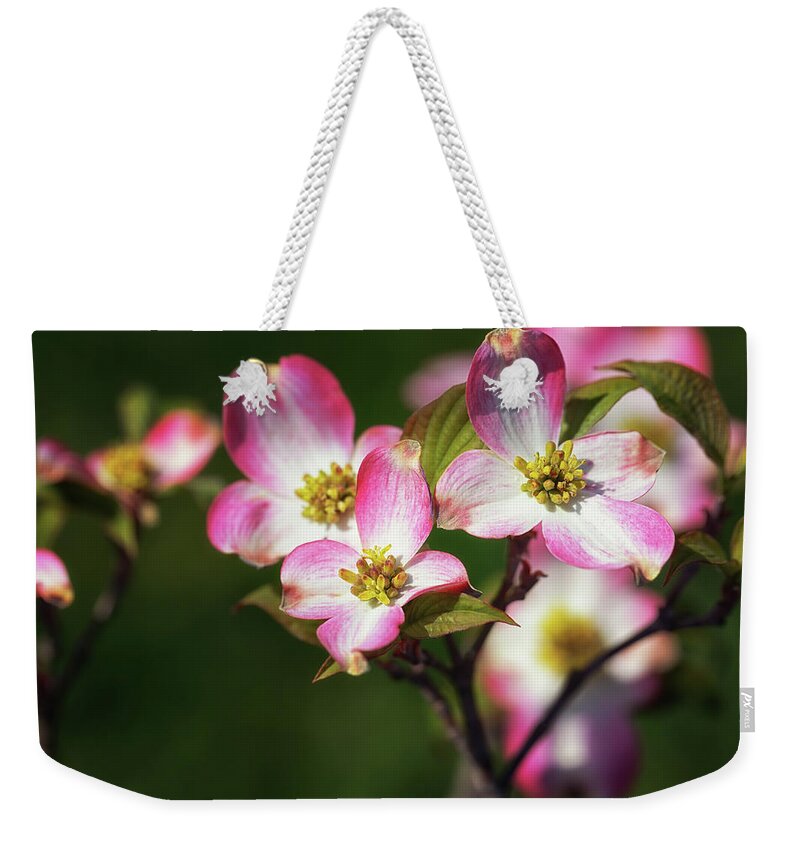 Pink Dogwood Weekender Tote Bag featuring the photograph Pink Dogwood Blossoms by Susan Rissi Tregoning