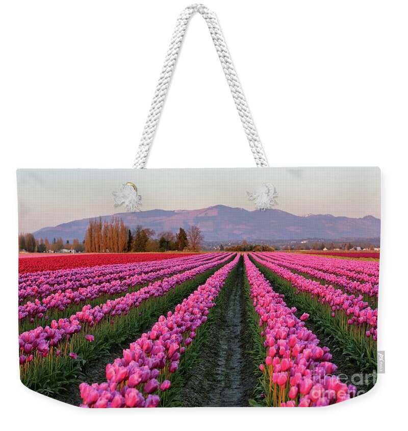 Tulips Weekender Tote Bag featuring the photograph Pink Glowing Tulips Field by Carol Groenen