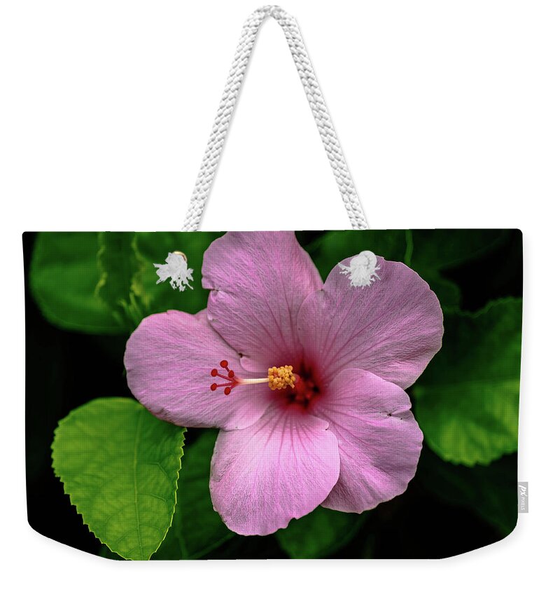Hibiscus Weekender Tote Bag featuring the photograph Pink Hibiscus by Debra Kewley