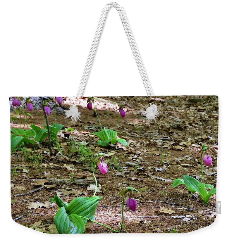 Pink Lady's Slippers Weekender Tote Bag featuring the photograph Pink lady's slippers by Monika Salvan