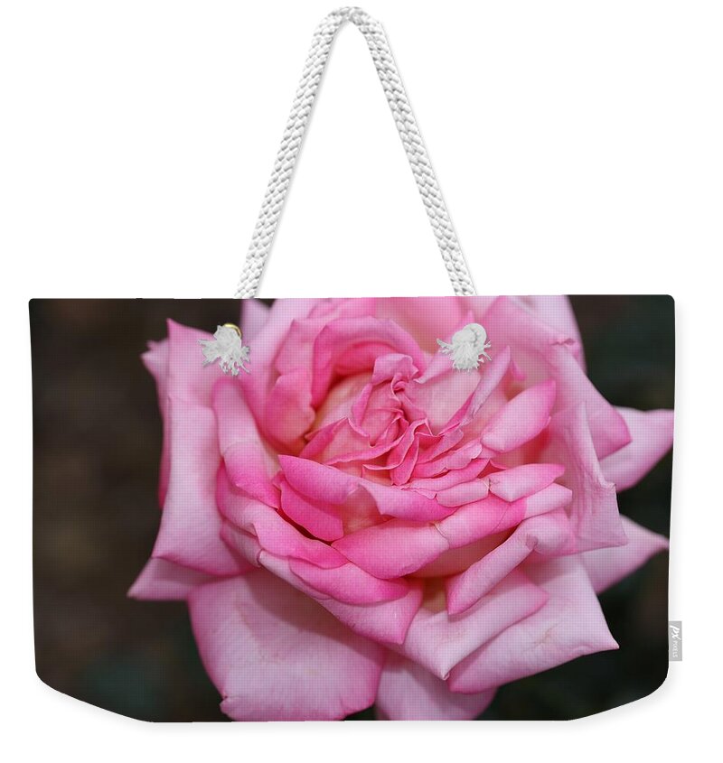 Rose Weekender Tote Bag featuring the photograph Pink Layers by Mingming Jiang