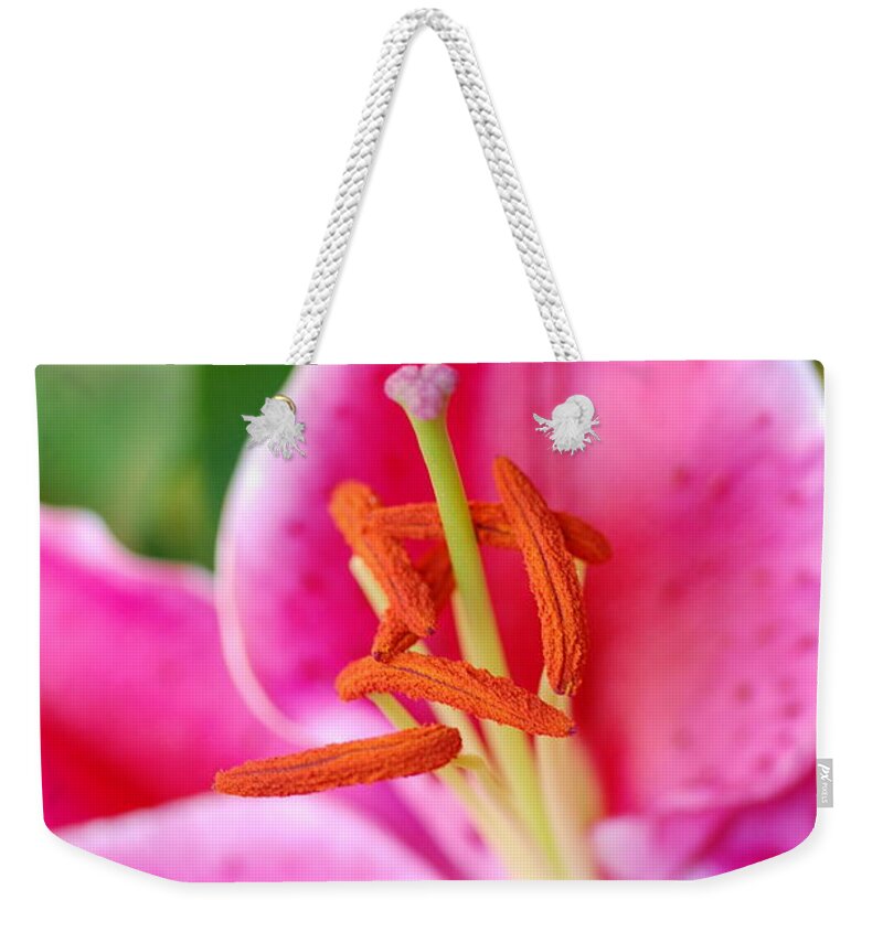 Lily Weekender Tote Bag featuring the photograph Pink Lily 1 by Amy Fose