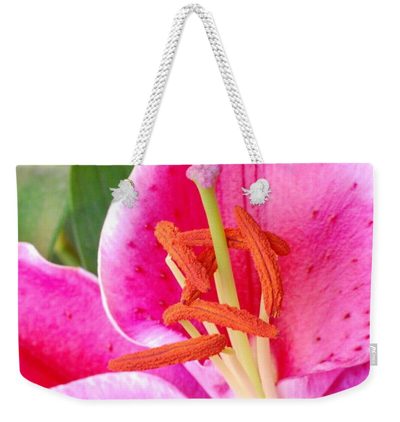 Lily Weekender Tote Bag featuring the photograph Pink Lily 2 by Amy Fose