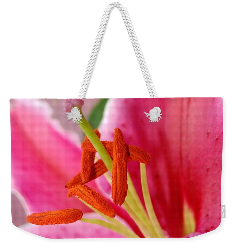 Lily Weekender Tote Bag featuring the photograph Pink Lily 6 by Amy Fose