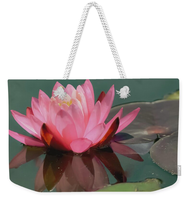 Purity Weekender Tote Bag featuring the photograph Pink Lotus blossom by Christina McGoran