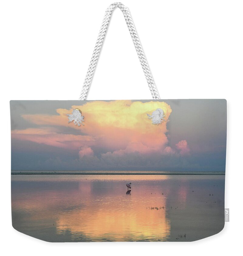 Sunrise Weekender Tote Bag featuring the photograph Pink on Pink by Jim Bennight