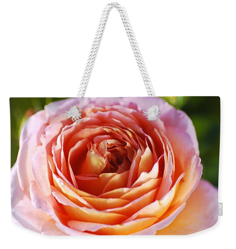 Abraham Darby Rose Flower Weekender Tote Bag featuring the photograph Pink Orange Rose by Joy Watson